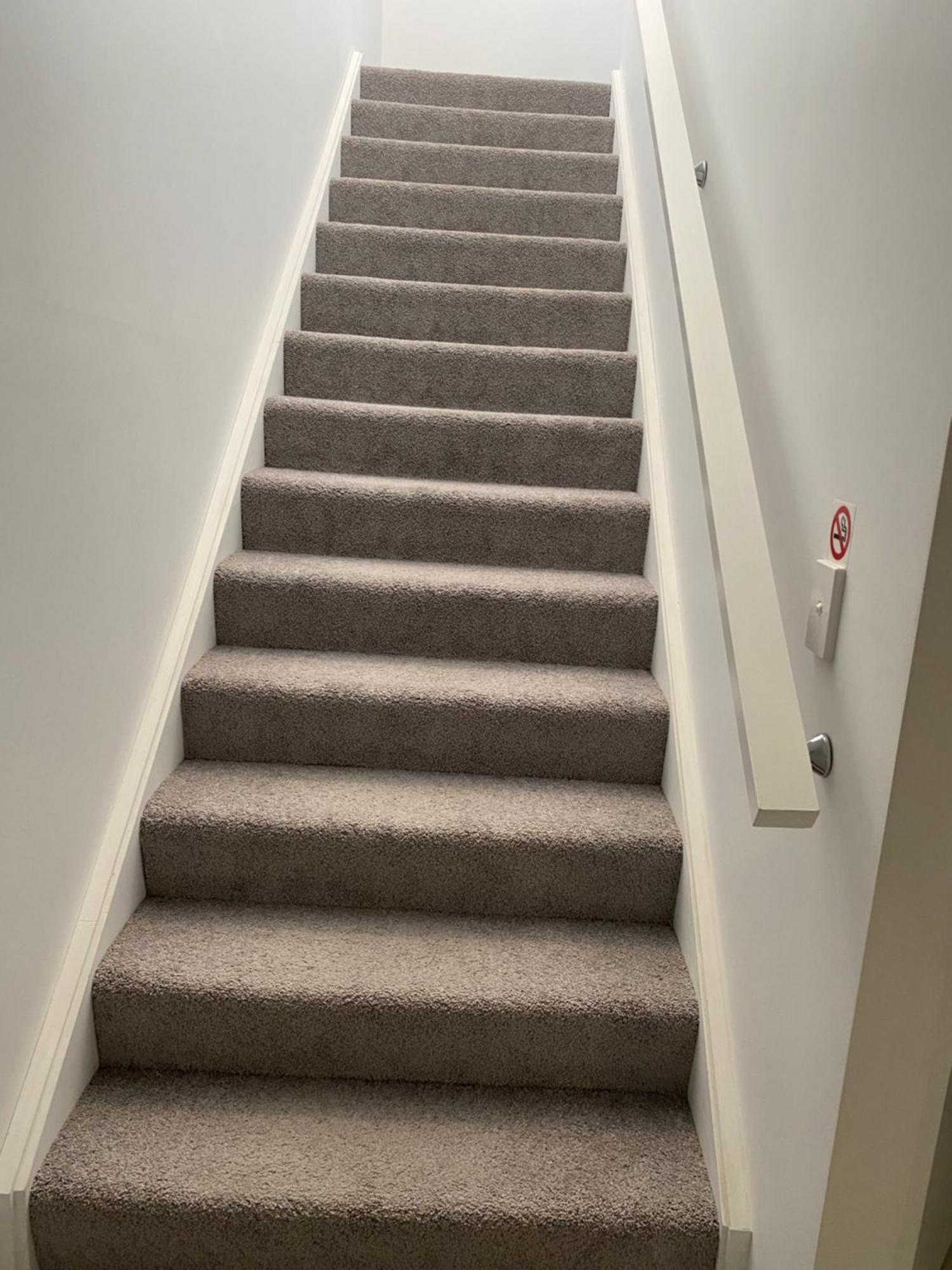 2Bd Family Or Couple Guesthouse Upstairs Near Turf Club, Hota In Bundall Guldkusten Exteriör bild